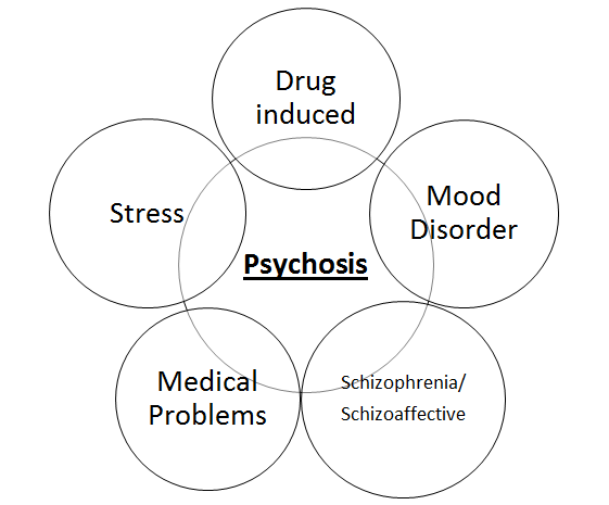 best-and-low-cost-psychosis-treatment-in-ludhiana-punjab